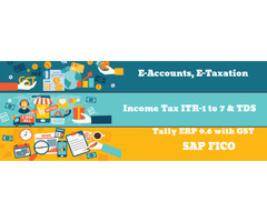 Why Accounting Professionals Will Be Highly Sought After in 2025, 100% Job, Accounting
