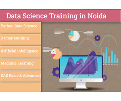 Certification Course in Python Data Science, Upskills with AI  for 2026 by SLA Consultants